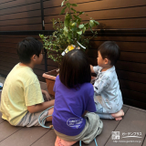 記念樹のレモン・ブルーベリー植樹の様子