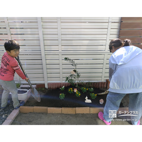 記念樹のオリーブ植樹の様子