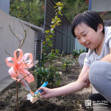 記念樹ブルーベリーの植樹の様子