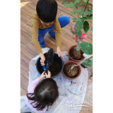 記念樹レモンの植樹の様子