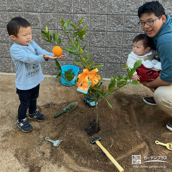 記念樹温州ミカンの植樹の様子①