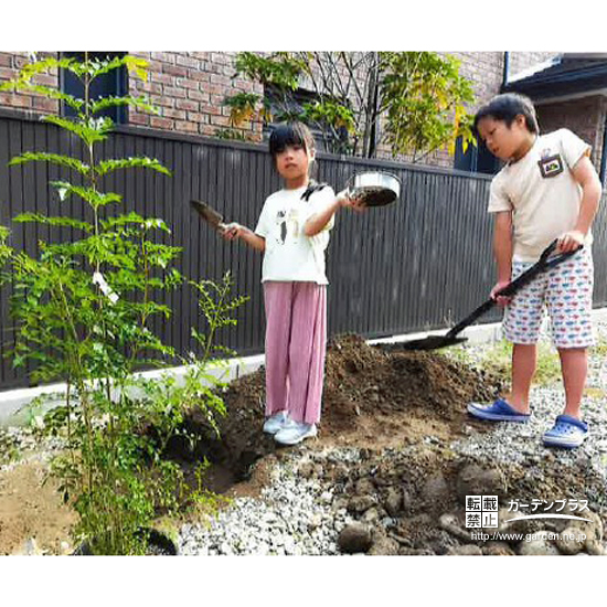 記念樹シマトネリコの植樹の様子