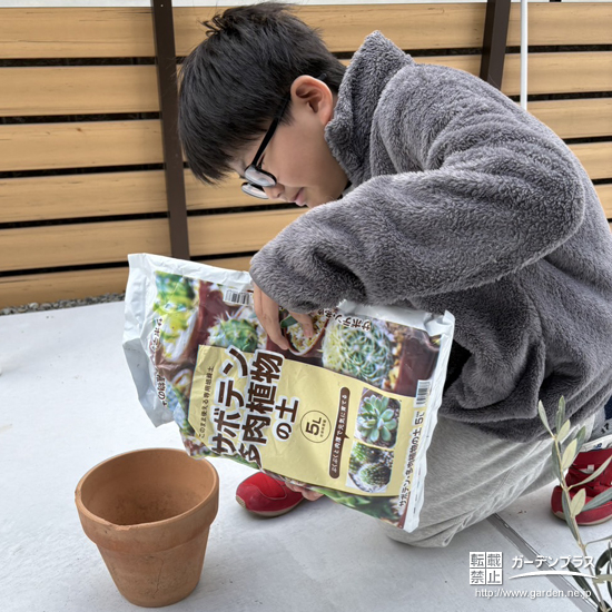 記念樹オリーブの植樹の様子
