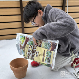 記念樹オリーブの植樹の様子