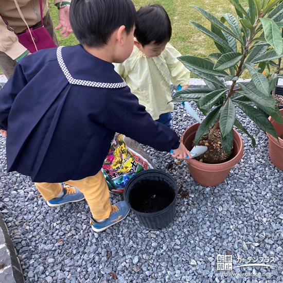 記念樹ビワの植樹の様子