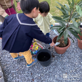 記念樹ビワの植樹の様子