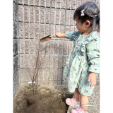 記念樹ユキヤナギの植樹の様子