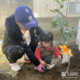 記念樹レモンの植樹の様子②