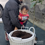 記念樹レモンの植樹の様子