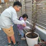 シマトネリコと記念撮影②