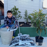 記念樹ビワの植樹の様子
