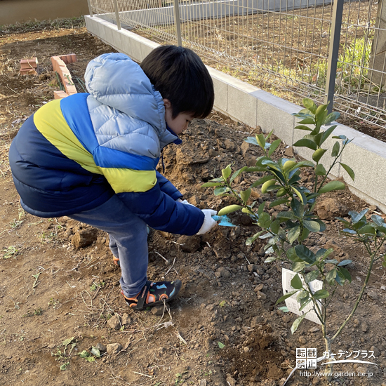 記念樹の植樹の様子②