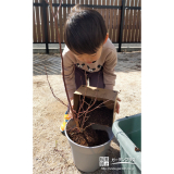 記念樹ブルーベリーの植樹の様子