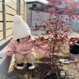 記念樹のナンテン植樹の様子