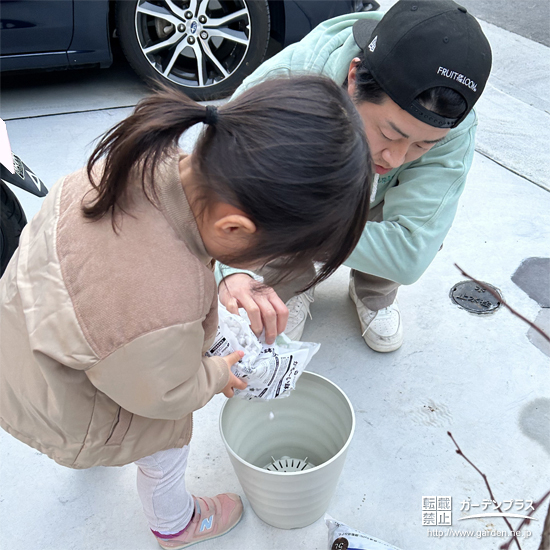 鉢に土を入れる様子