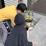記念樹オリーブの植樹の様子②
