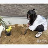 記念樹オリーブの植樹の様子②