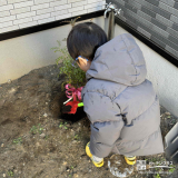 記念樹シマトネリコの植樹の様子