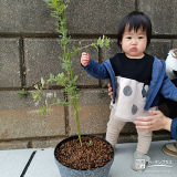 ミモザと記念撮影