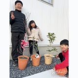 記念樹ジューンベリー・オリーブ・四季咲きモクセイの植樹の様子