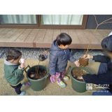 記念樹ブルーベリーの植樹の様子