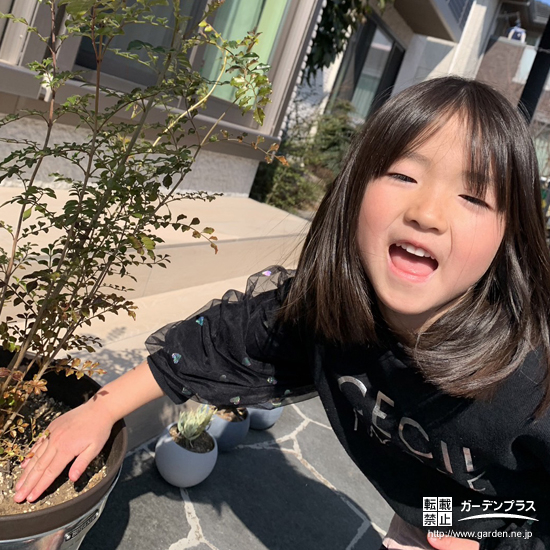 記念樹シマトネリコの植樹の様子