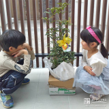 樹木と記念撮影されるお子様の様子