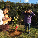 愛知県新城市もみじ（カエデ）とビワの植樹風景