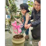 記念樹オリーブの植樹の様子①