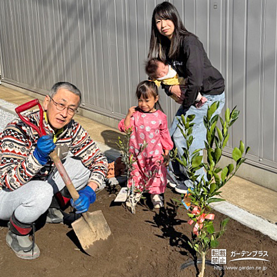 記念樹温州ミカン・オリーブの植樹の様子①