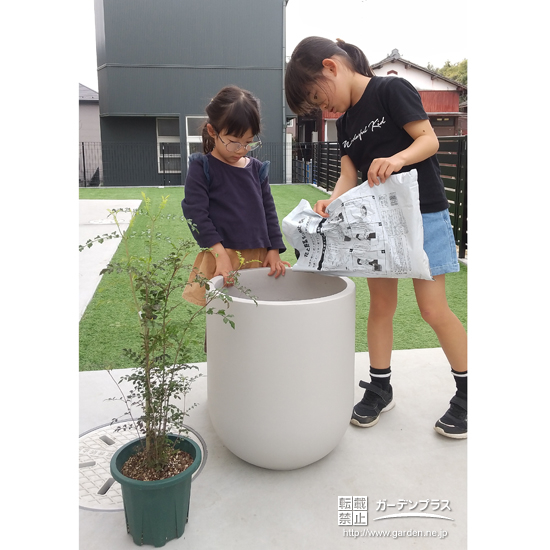 記念樹シマトネリコの植樹の様子