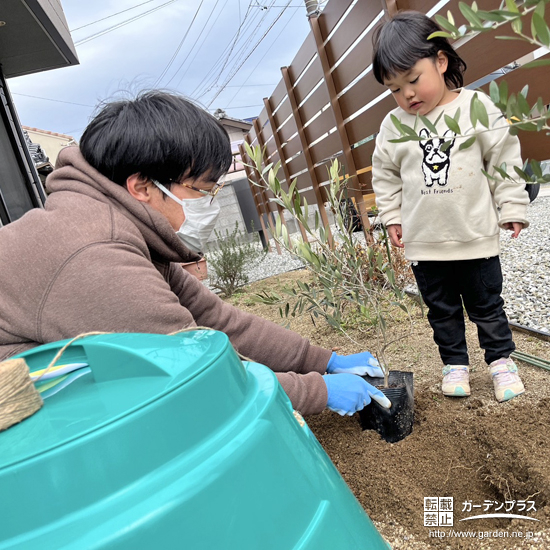 記念樹オリーブの植樹の様子