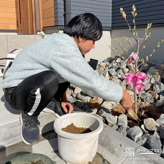 記念樹ジューンベリーの植樹の様子