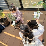 記念樹の植樹の様子