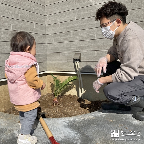 記念樹ソテツの植樹の様子