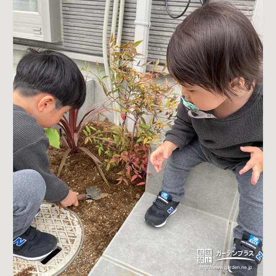 記念樹ナンテンの植樹の様子