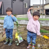 記念樹レモンの植樹の様子