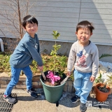 記念樹キンモクセイの植樹の様子
