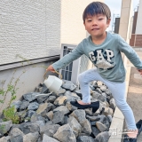 記念樹ブルーベリーに水やりをする様子