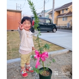 ミモザと記念撮影②
