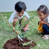 記念樹ミモザの植樹の様子