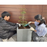 記念樹キンモクセイの植樹の様子