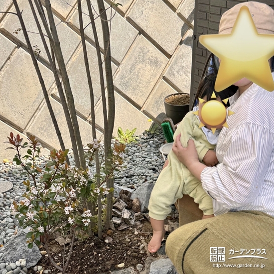 ヒメシャリンバイと記念撮影②