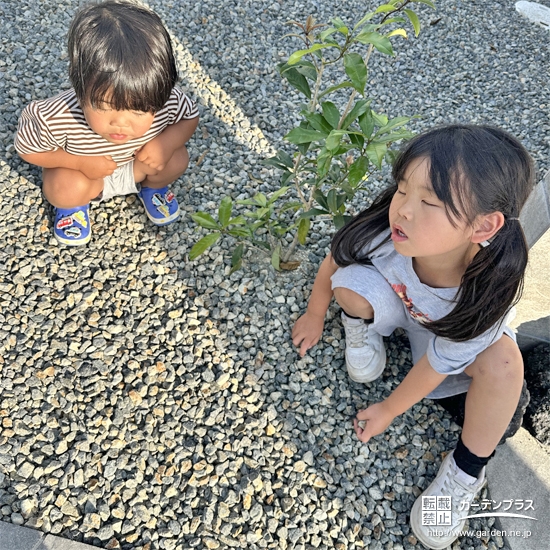 キンモクセイと記念撮影②