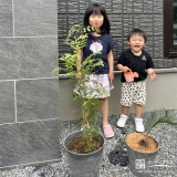 ソテツ・シマトネリコと記念撮影
