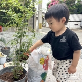 記念樹シマトネリコの植樹の様子