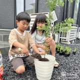 記念樹ミモザの植樹の様子