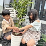記念樹温州ミカンの植樹の様子