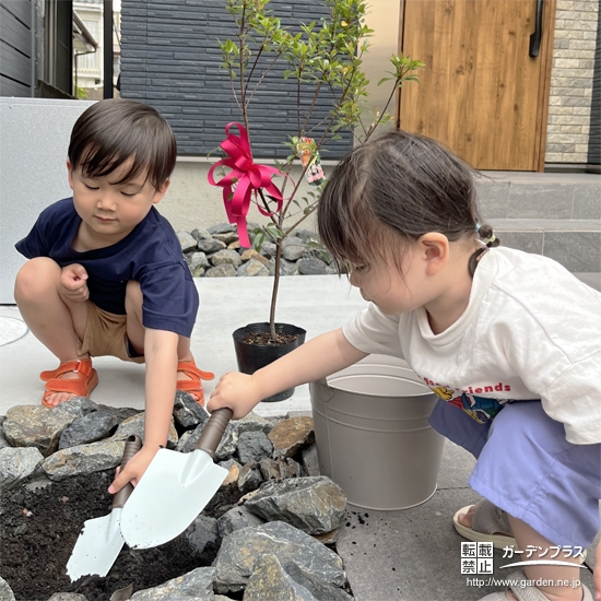 記念樹ヒメシャリンバイの植樹の様子