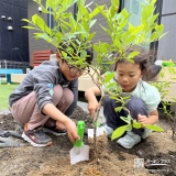 記念樹ブルーベリーの植樹の様子